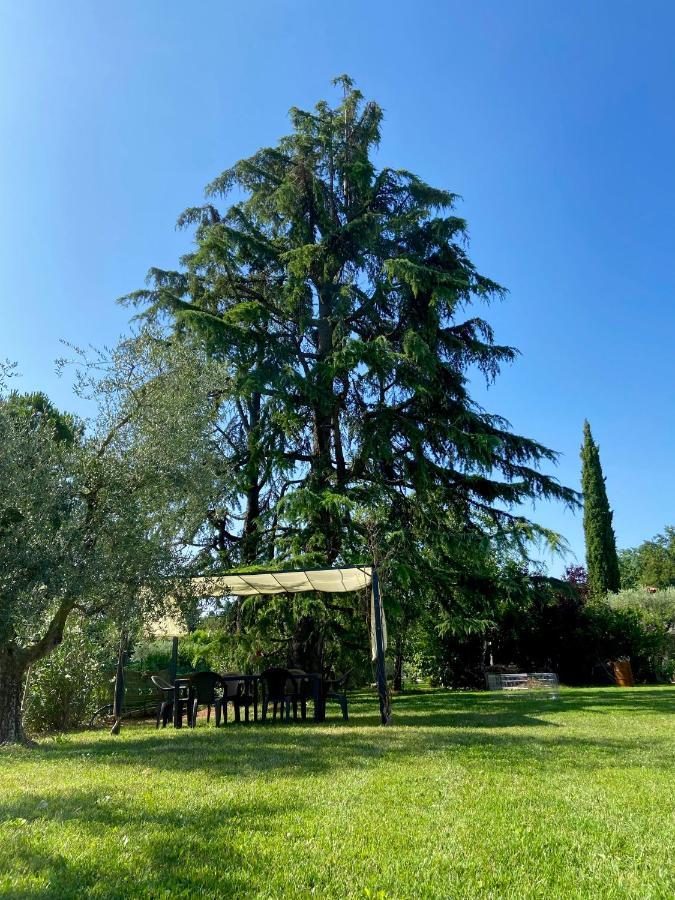 B&B Controvento Soiano Soiano del Lago Kültér fotó